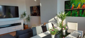 spacieux F3,netlix,wi fi,parking gratuit,proche de STEEL